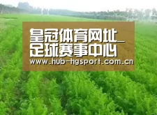 种植基地四