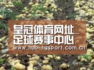 种植基地七