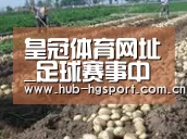 种植基地八