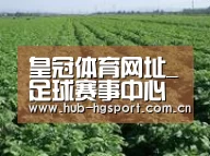 种植基地五(图1)