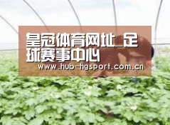 种植基地三