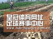 种植基地七(图1)