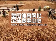 种植基地二