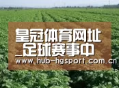 种植基地五