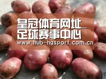 产品展示标题5(图1)