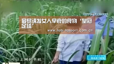 皇冠足球