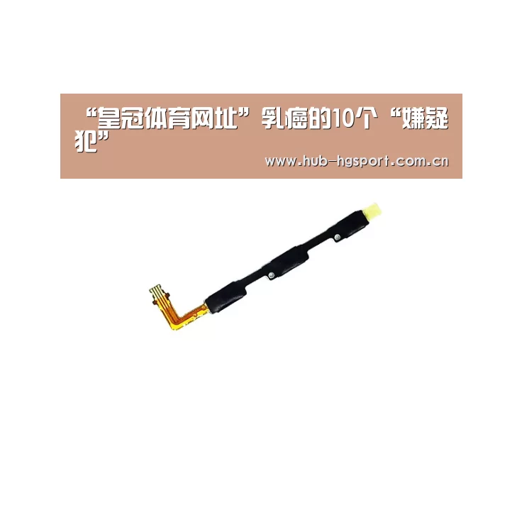 皇冠体育网址