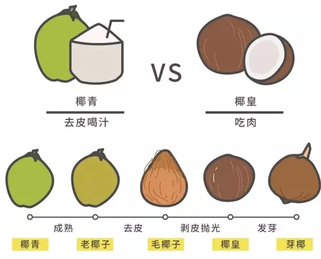 皇冠体育